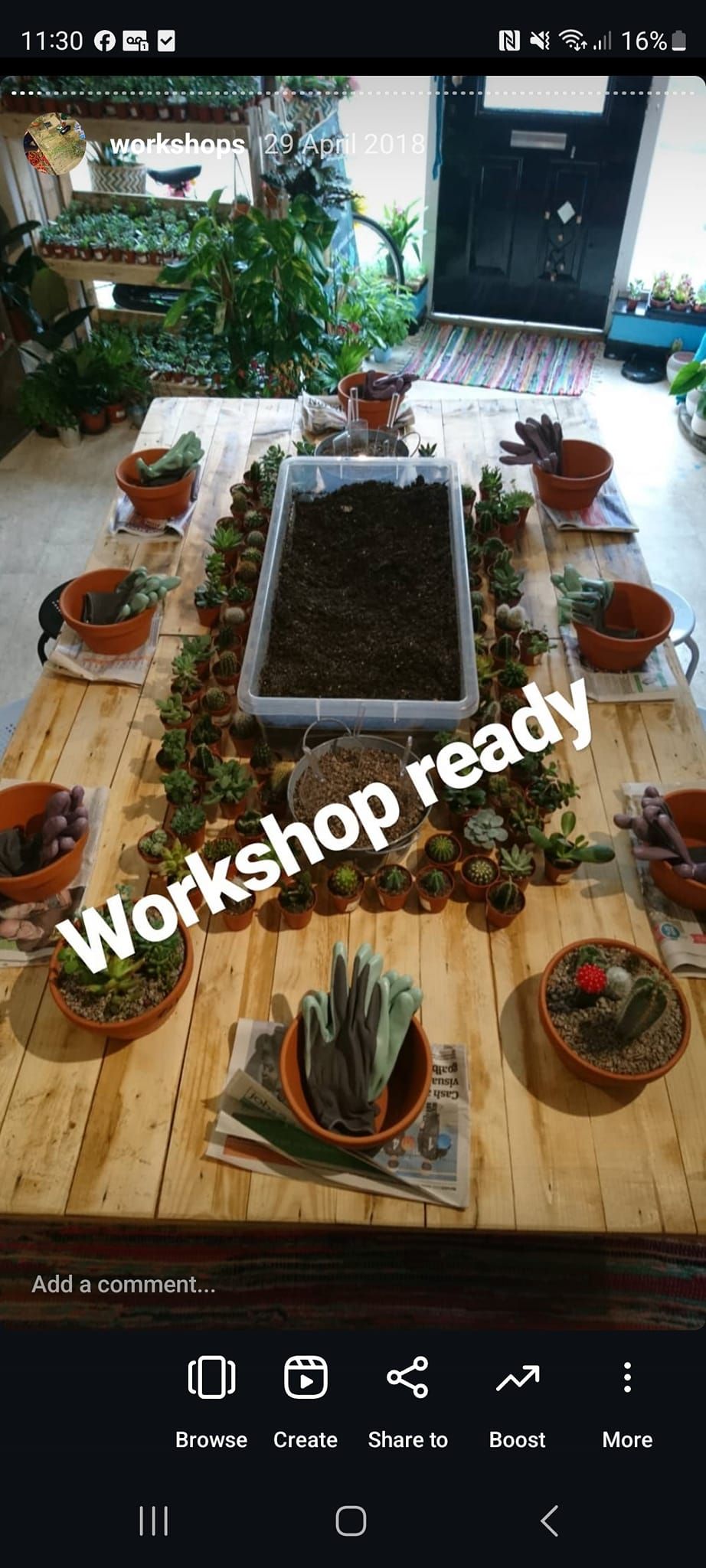 Cacti garden workshop 