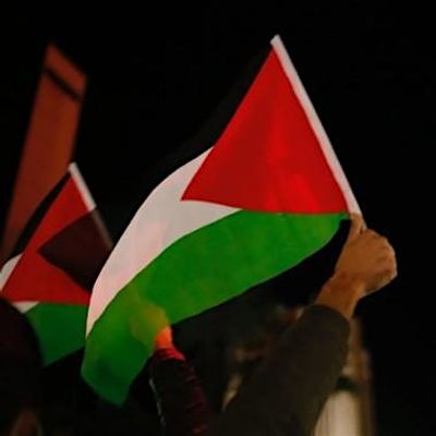 LFB Palestine Solidarity
