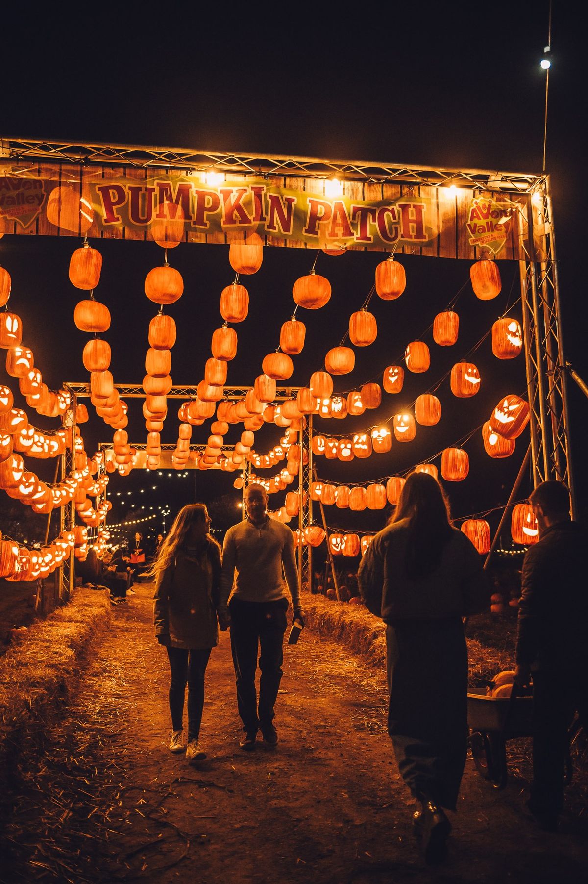 Pumpkin Patch Nights