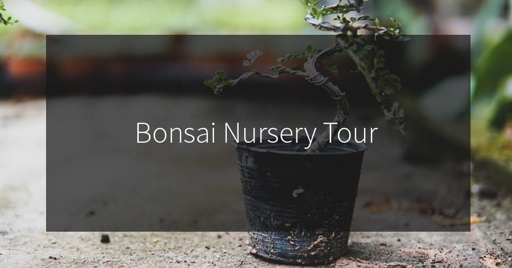 2024 Bonsai Basics Nursery Tour