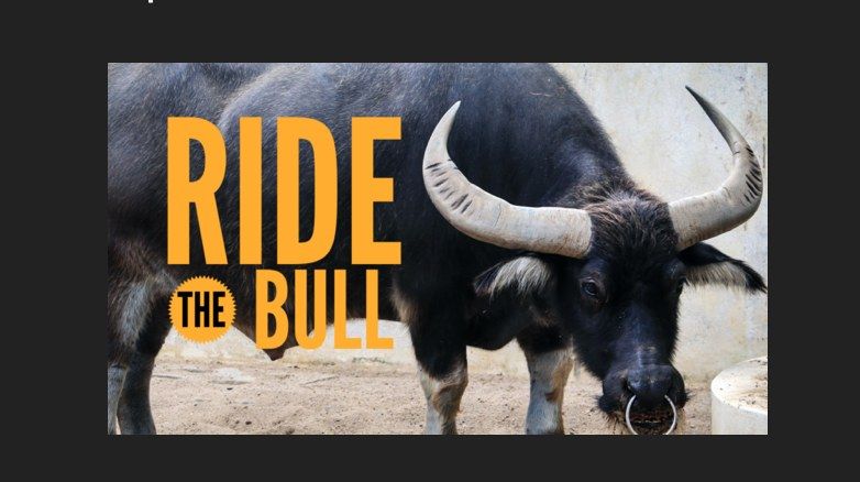 Ride the Bull