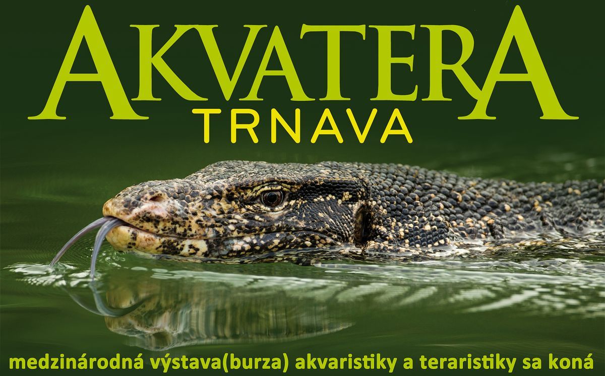 AkvaTera Trnava 13.4.2025