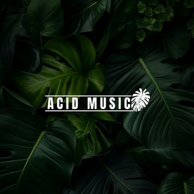 ACID MUSIC