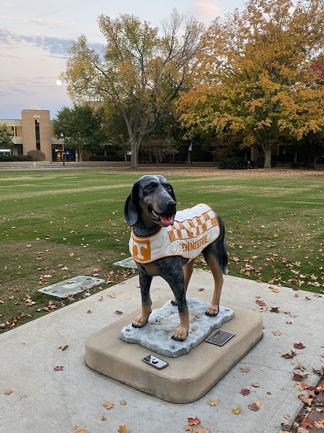 Walking Tour of Historic UT Campus 