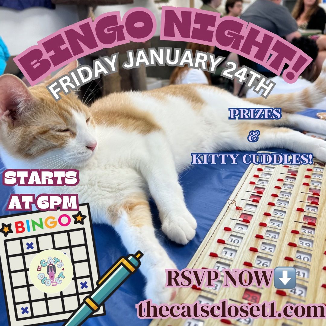 Cat Bingo 