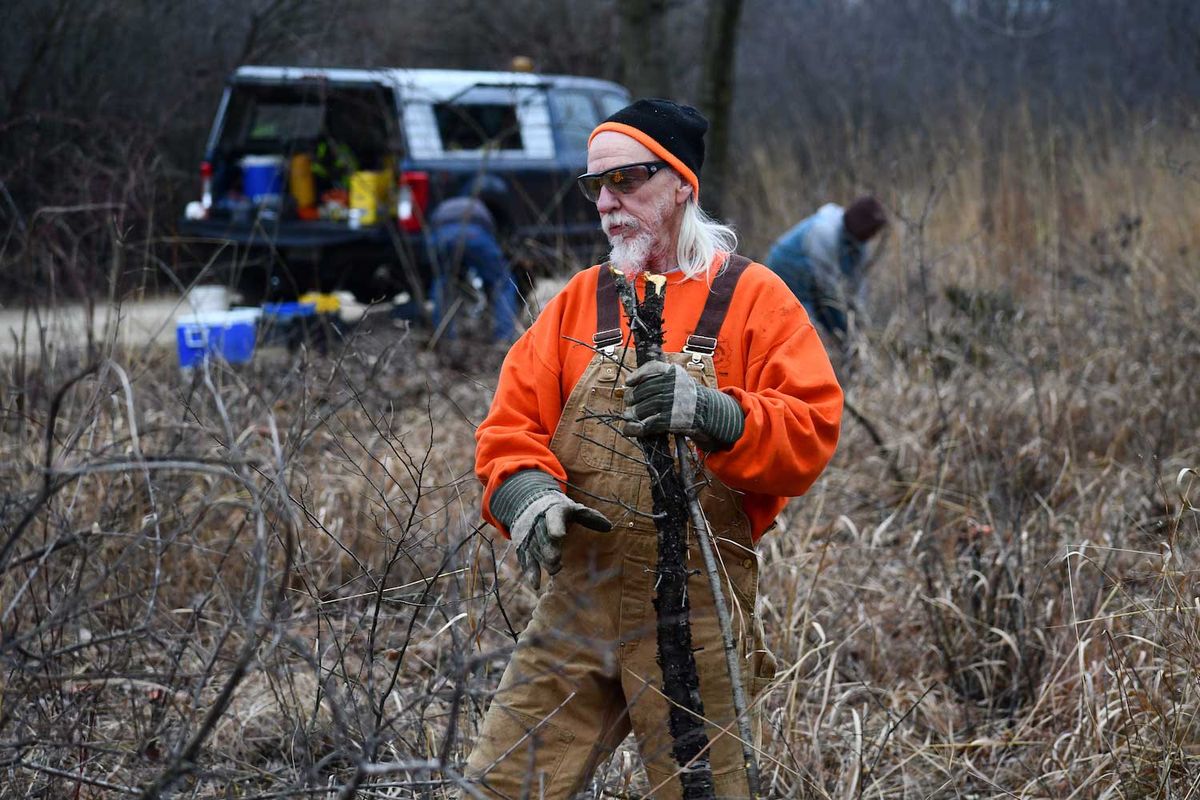 Volunteer Morning: Hickory Creek \u2014 LaPorte Road Access