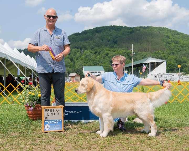 Breed Handling Classes Every Monday @ 6:30PM+7:30PM