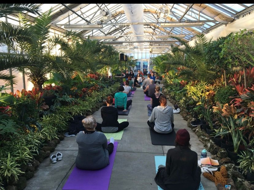 Yoga at the Greenhouse (January)