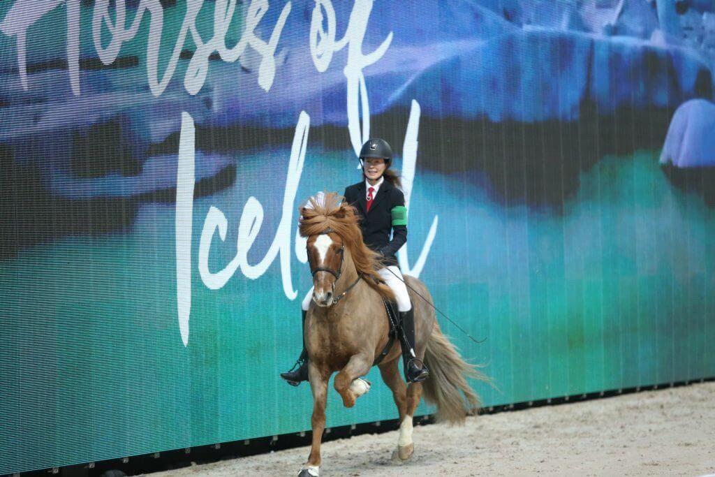 SLUTS\u00c5LT! G\u00e5 med Gladur till Sweden International Horse Show 2024! 