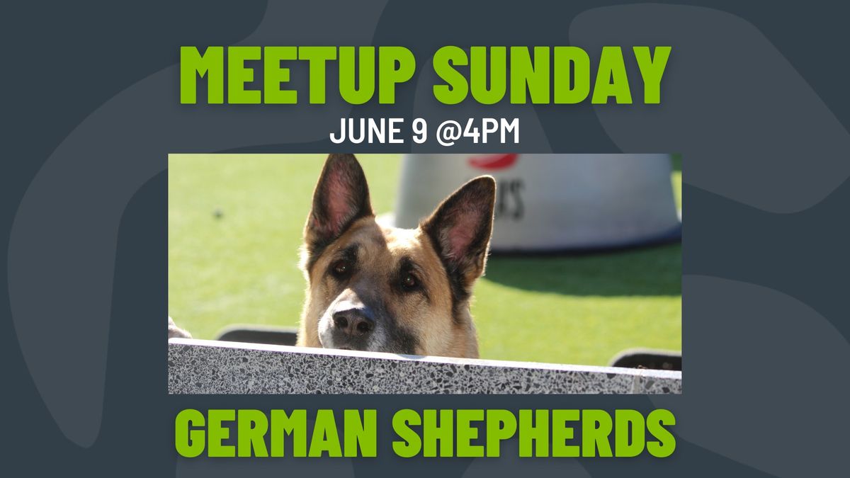 Meetup Sunday: German Shepherds 