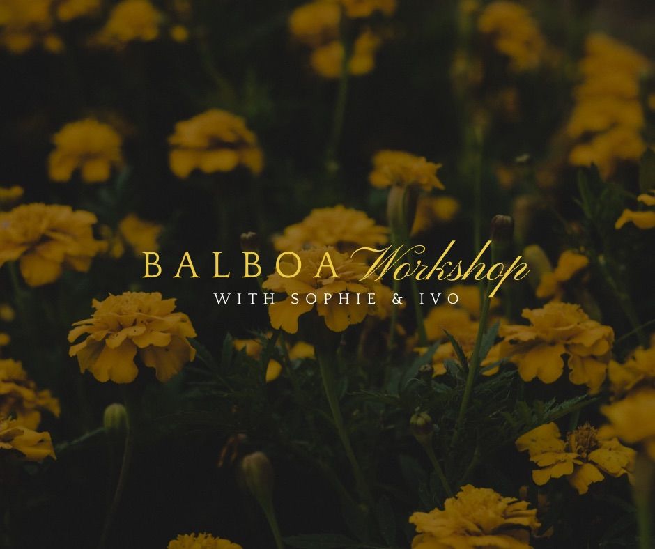 Balboa workshop 