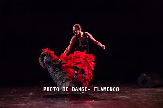 Atelier Photo de danse - Flamenco