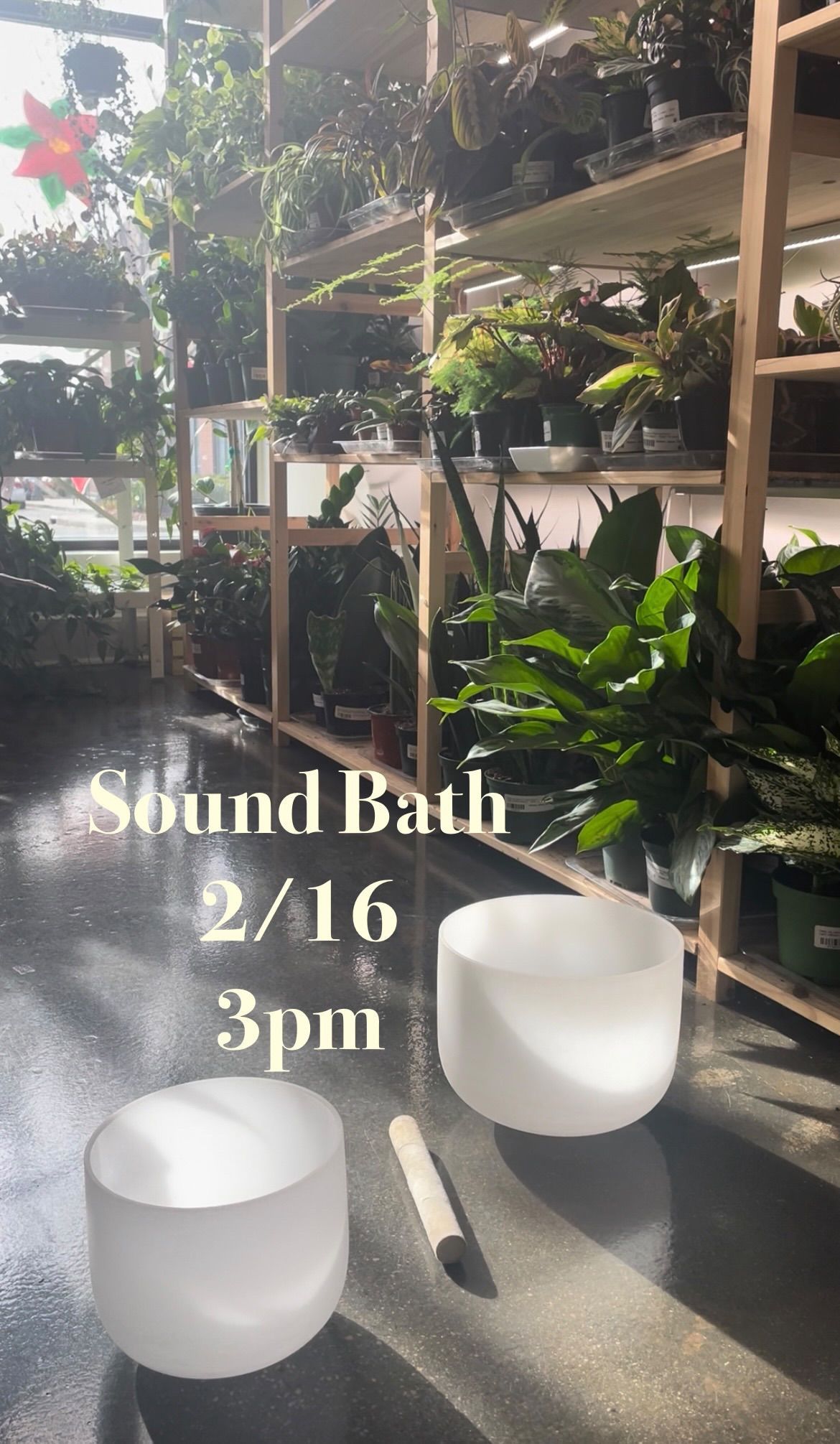 Sound Bath @ Green Space