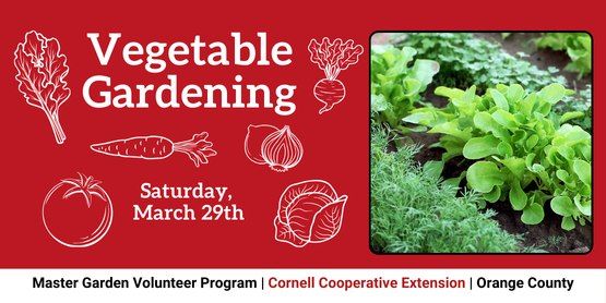 "Vegetable Gardening" Class