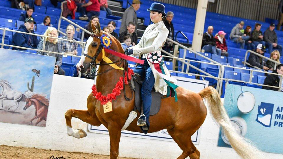 Scottsdale Arabian Horse Show