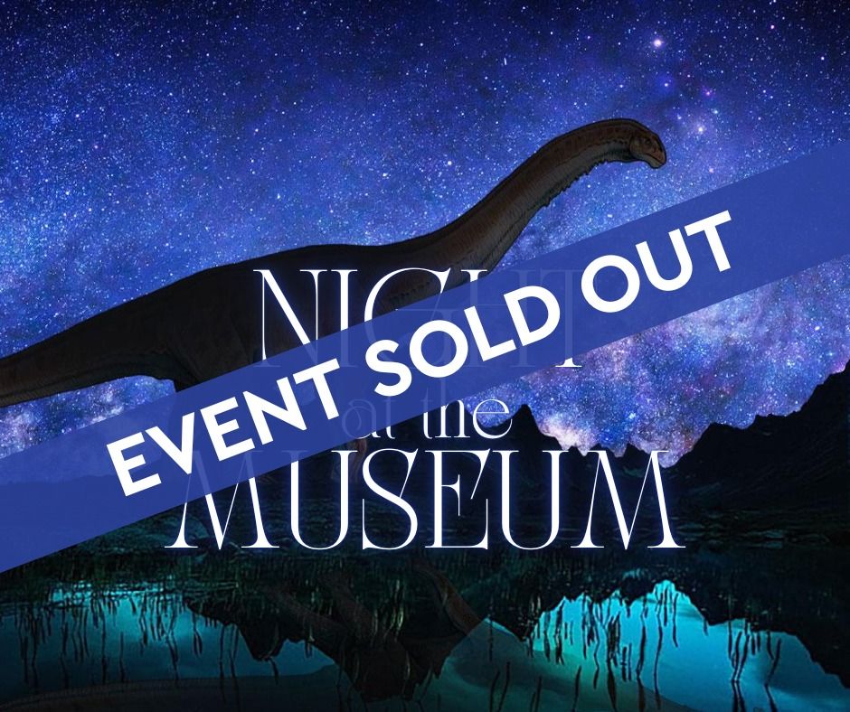 Night at the Museum Gala