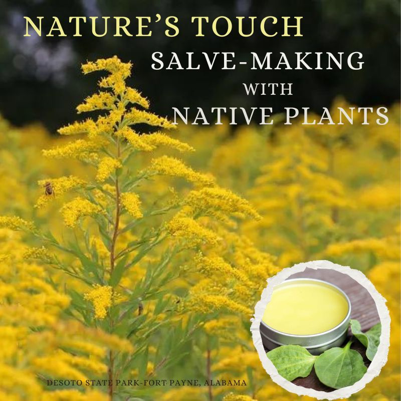 Serious Skills Series: Nature\u2019s Touch: Salve-Making with Native Plants 