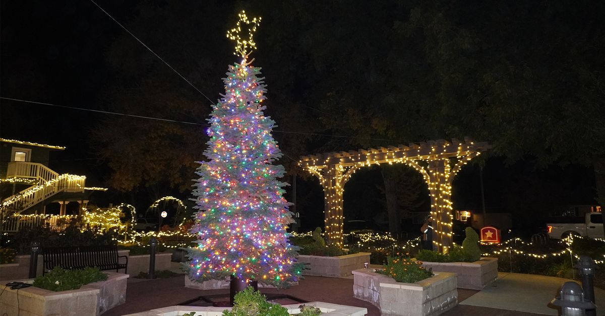 Tree Lighting Ceremony 