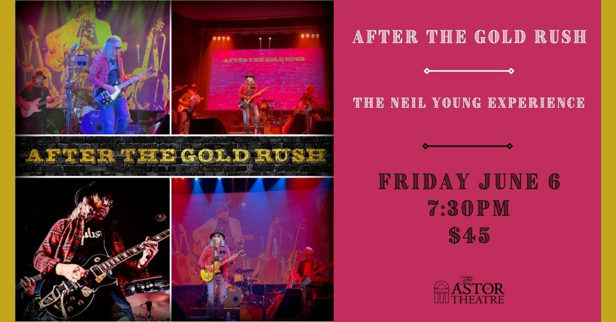 After The Gold Rush - The Neil Young Experience