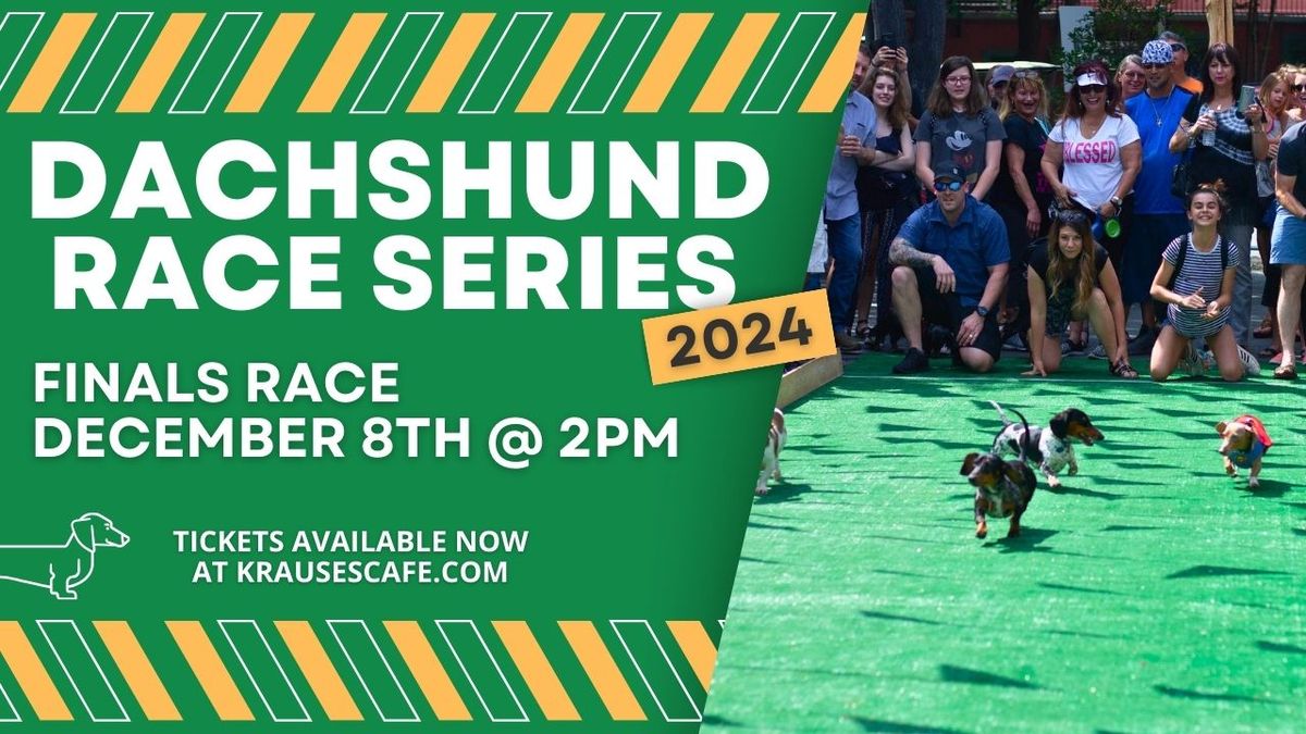 Dachshund Race Finals 