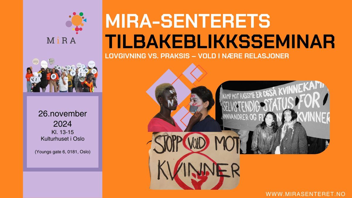 Tilbakeblikksseminar: Lovgivning vs.praksis -vold i n\u00e6re relasjoner