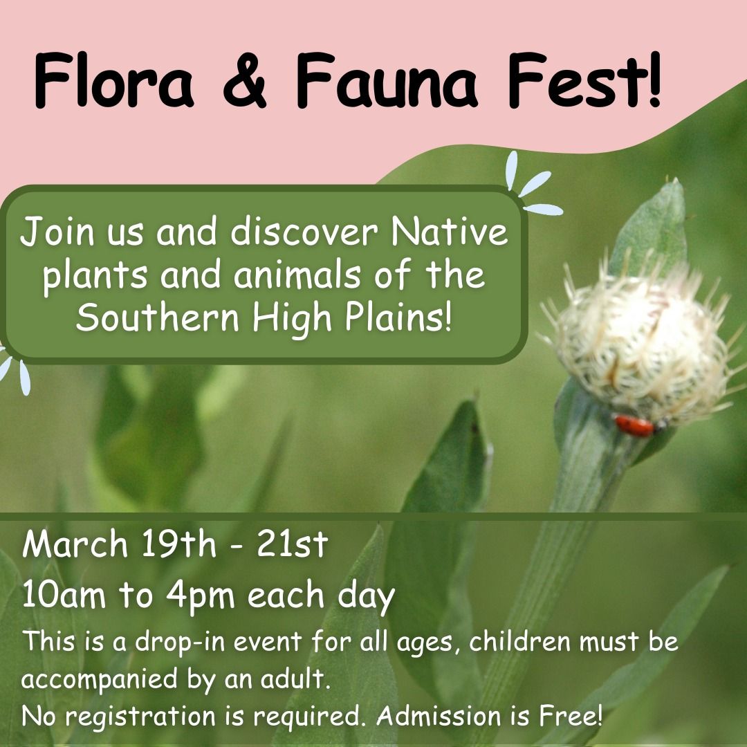 Flora & Fauna Fest at the Landmark