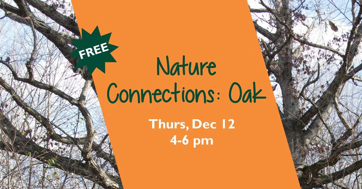 Nature Connections: Oak