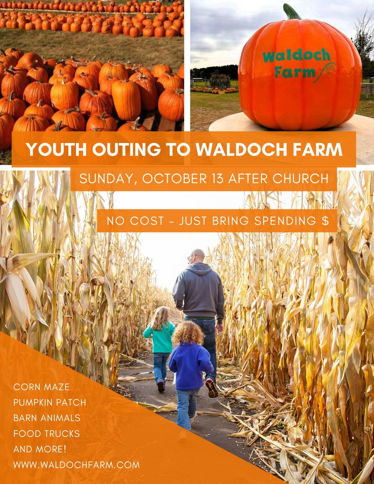 Youth Outing to Waldoch Farm