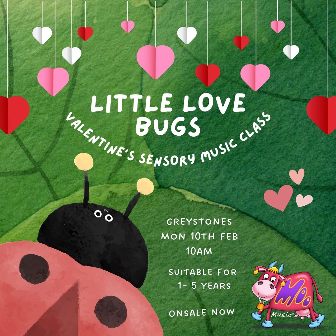 \u2764\ufe0f Greystones 'Little Love Bugs' Valentine's Special