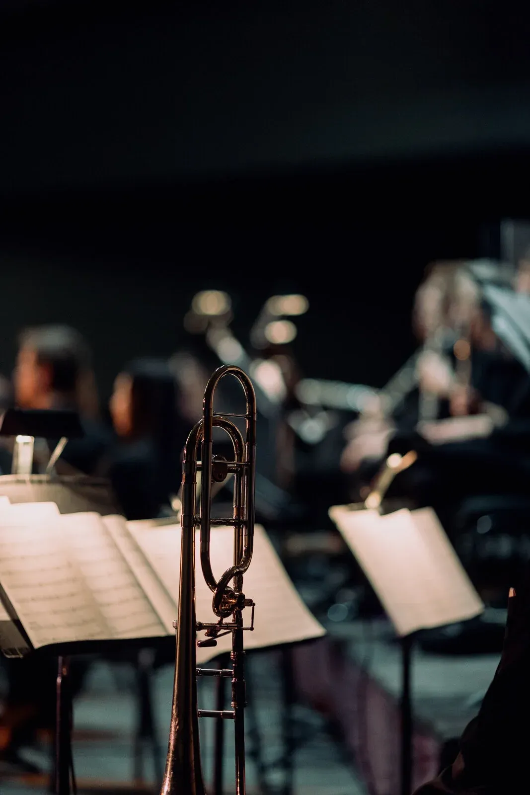 Thunder Bay Symphony Orchestra: Speakeasy