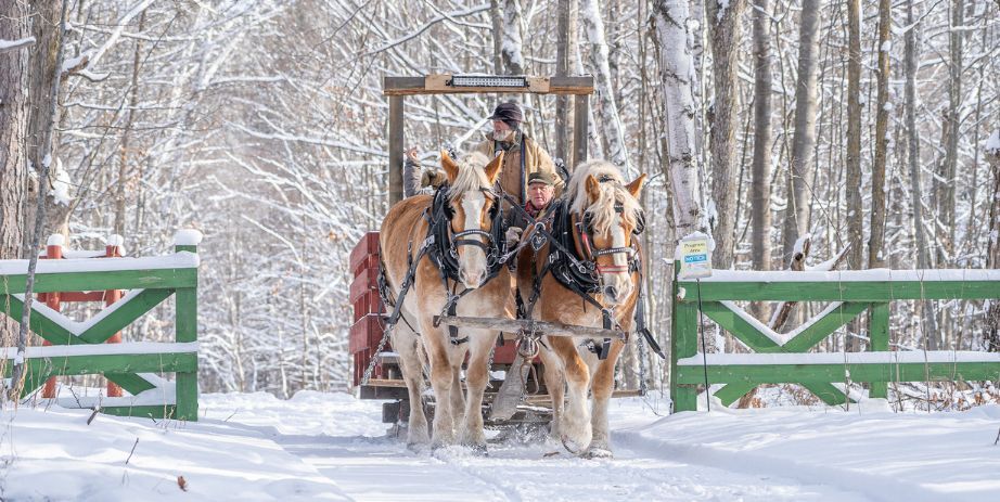 Winter Sleigh Rides