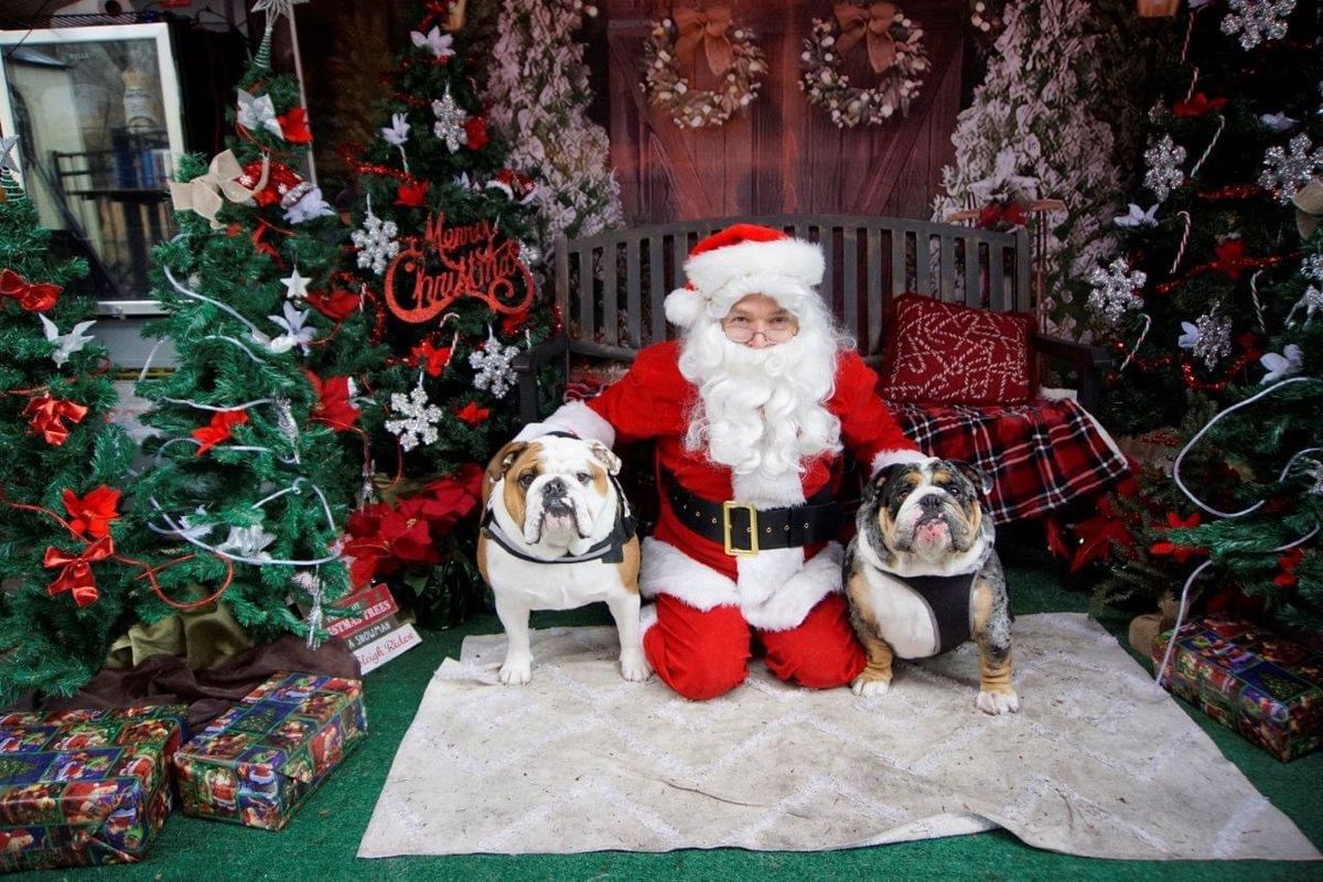 Santa Pictures at the Hungry Puppy