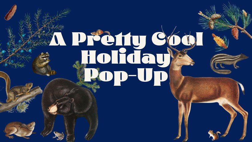 A Pretty Cool Holiday Pop-Up