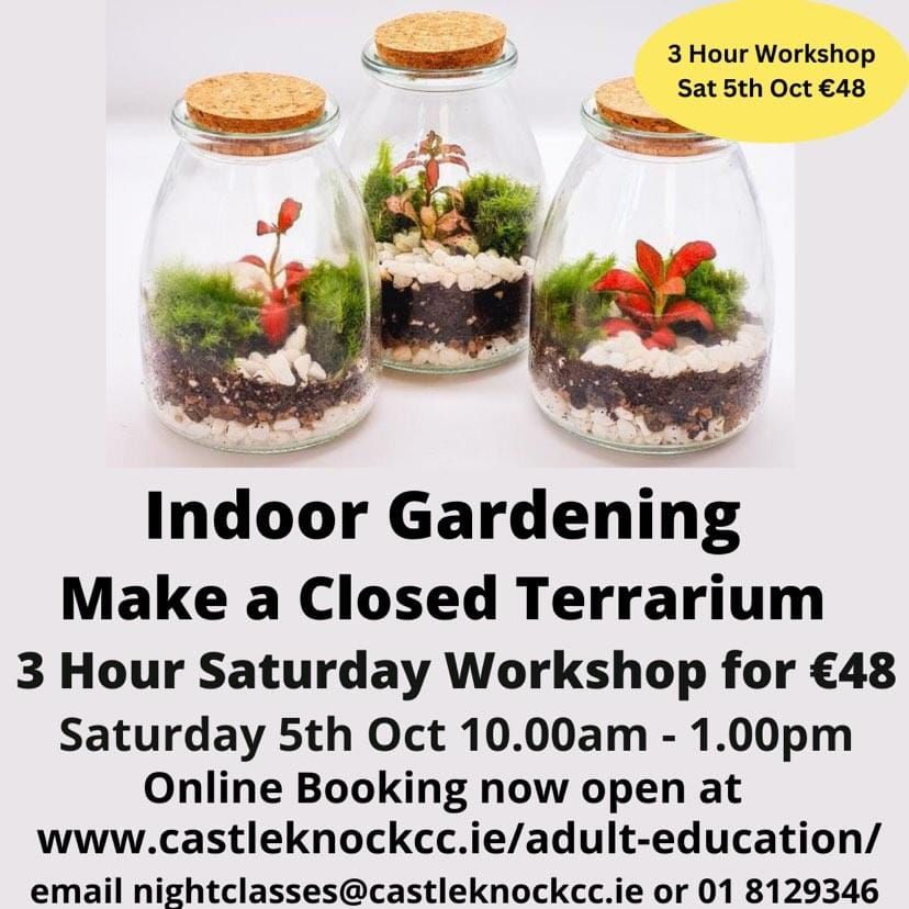 Terrarium Workshop: Indoor Gardening and Plant Propagation