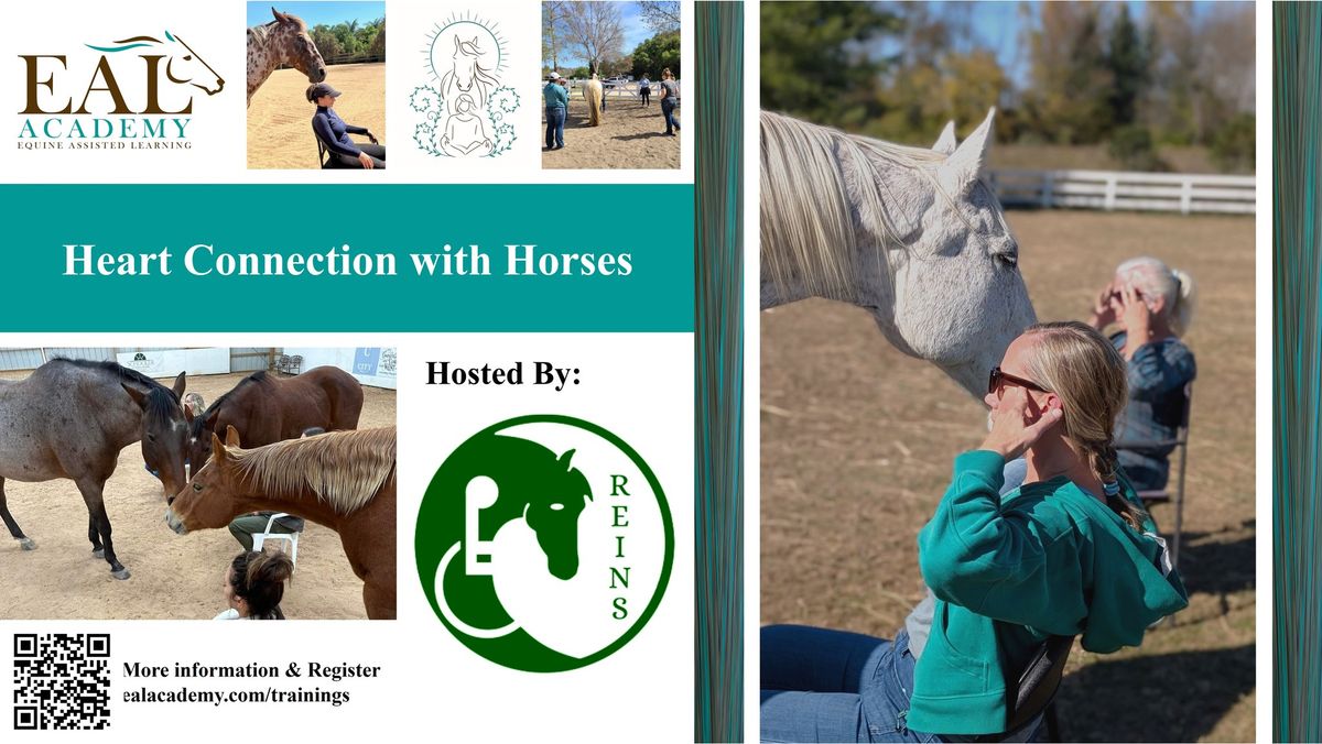 Heart Connection with Horses Fallbrook CA