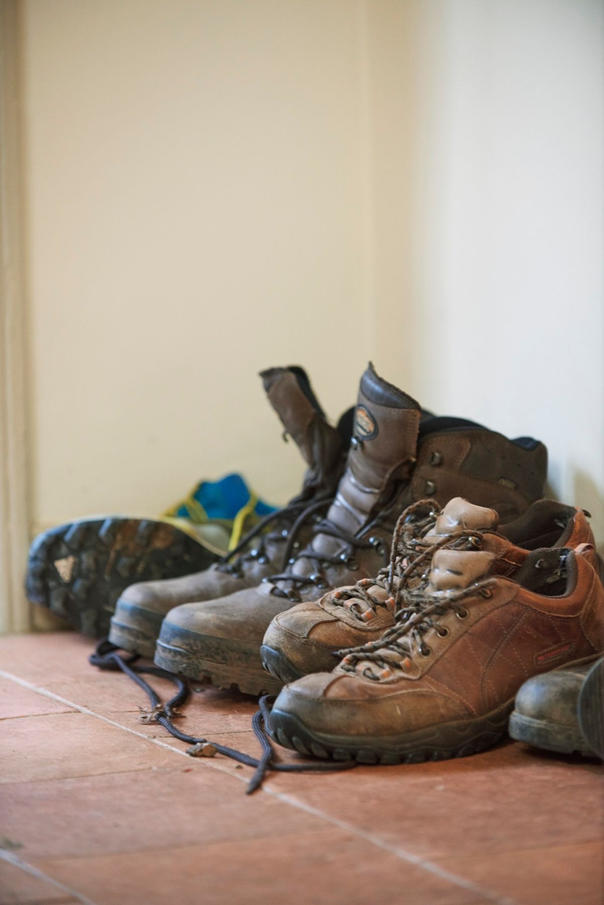 Battle of Edgehill guided walk