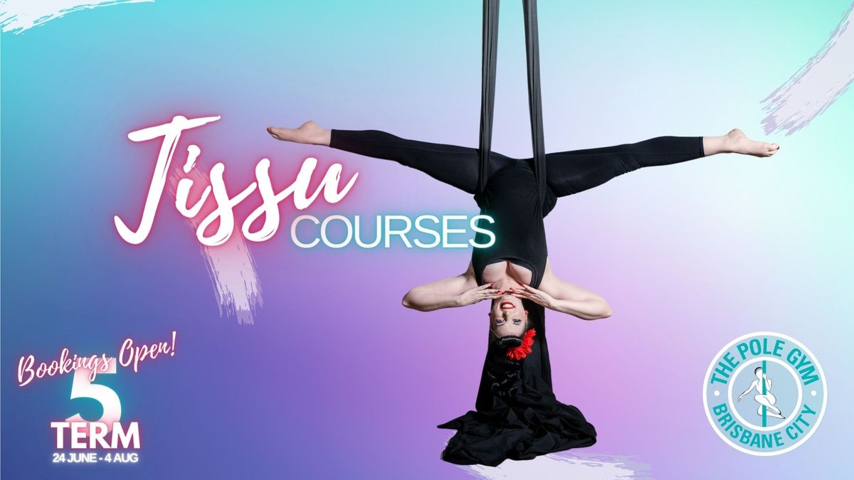 Tissu (Aerial Silks) Beginner to Intermediate 6-Week Courses - BOOKINGS OPEN!