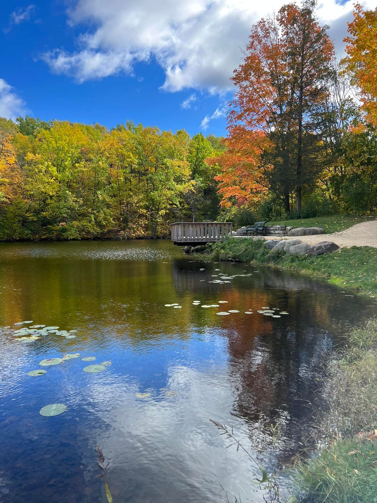 Fall Mini Sessions at Ridge Run County Park in West Bend