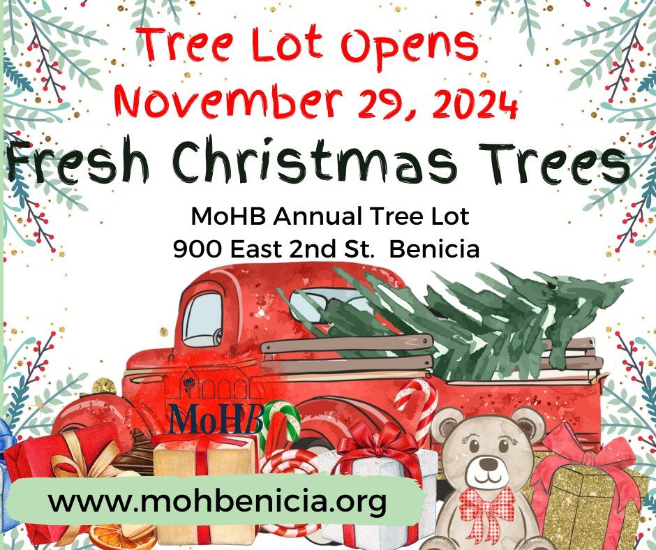 Christmas Trees @ MoHB 2024 Tree Lot Opening Weekend 