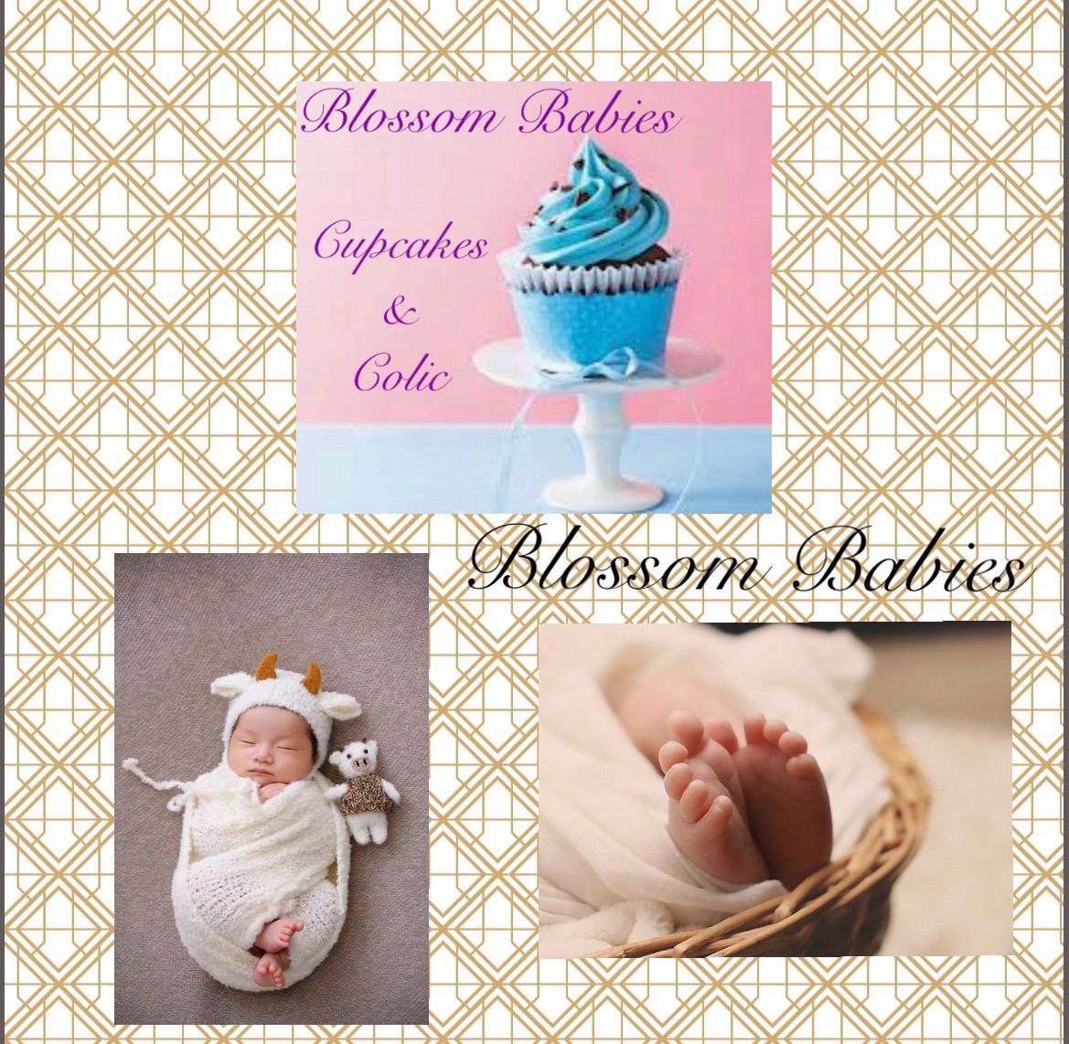 Blossom Babies Cupcakes & Colic session 