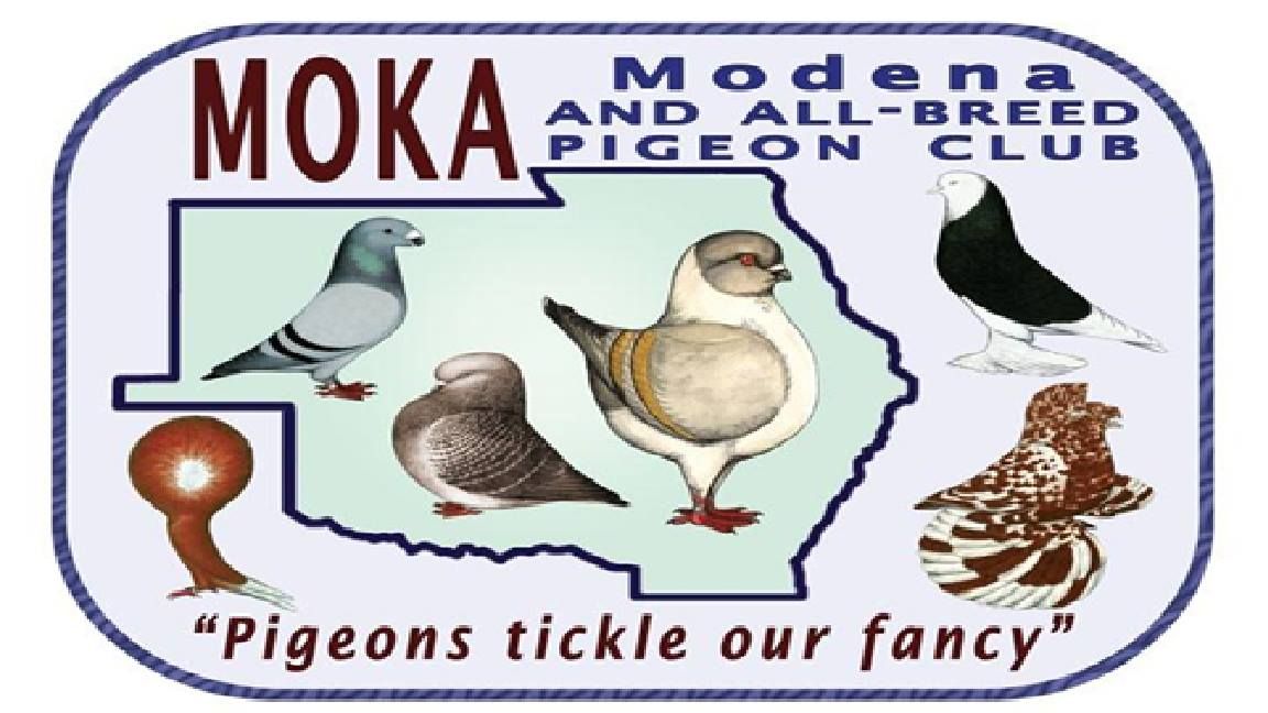 30th Annual MOKA All Breed-All Age fall Pigeon Show