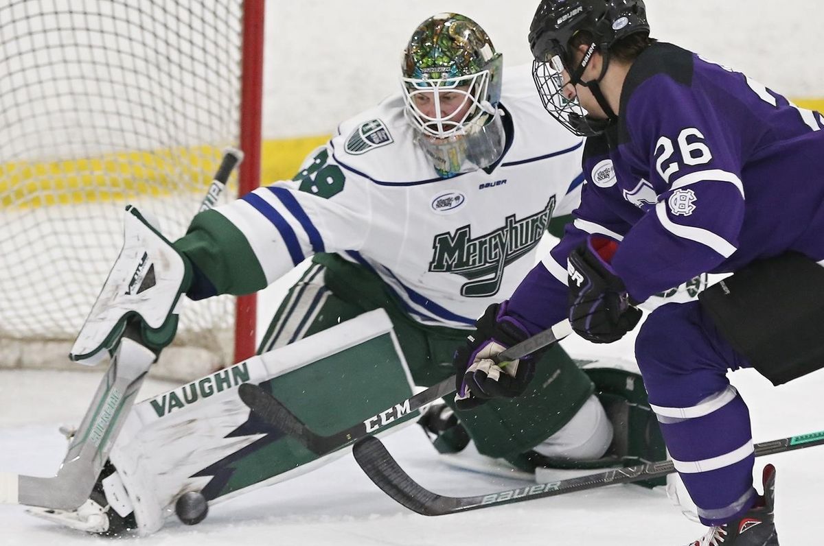 Mercyhurst Lakers vs. Long Island University Sharks