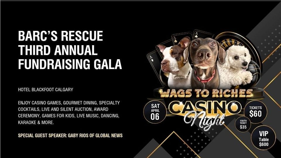 Wags to Riches Fundraising Gala 2024