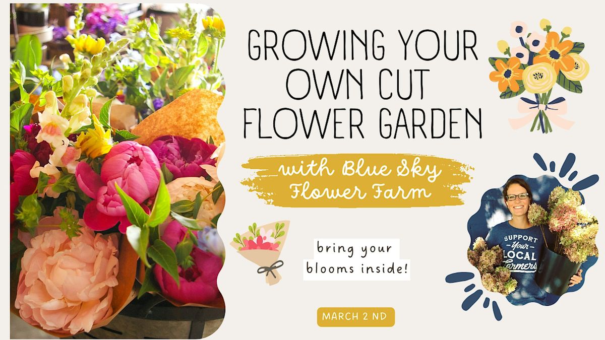 Growing a Cut Flower Garden with Blue Sky Flowers