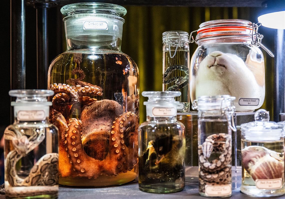 World Oddities Expo at Greater Columbus Convention Center