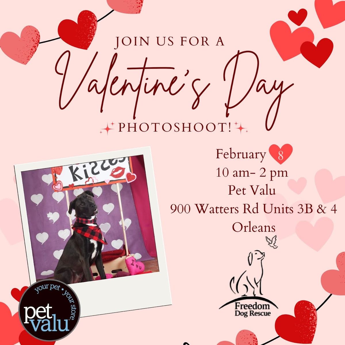 Valentine's Day Photoshoot - Pet Valu Watters