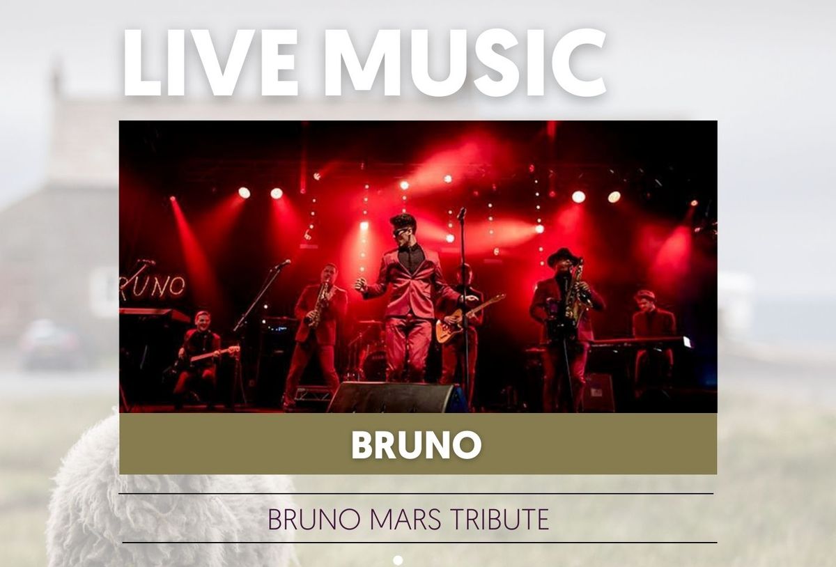 Bruno Mars Tribute