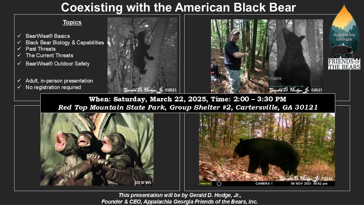 Coexisting with the American Black Bear 