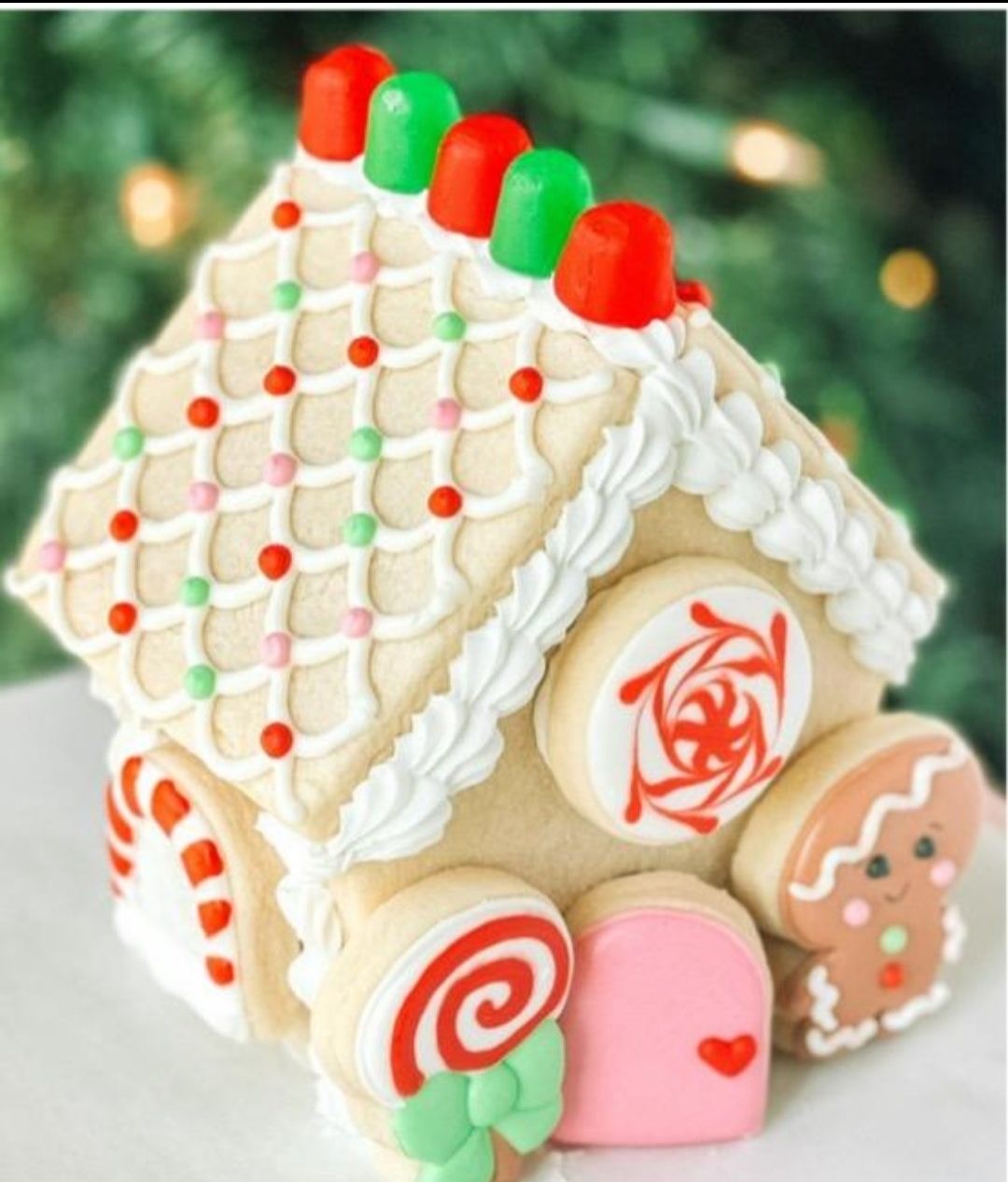 Cookie House Decorating Class