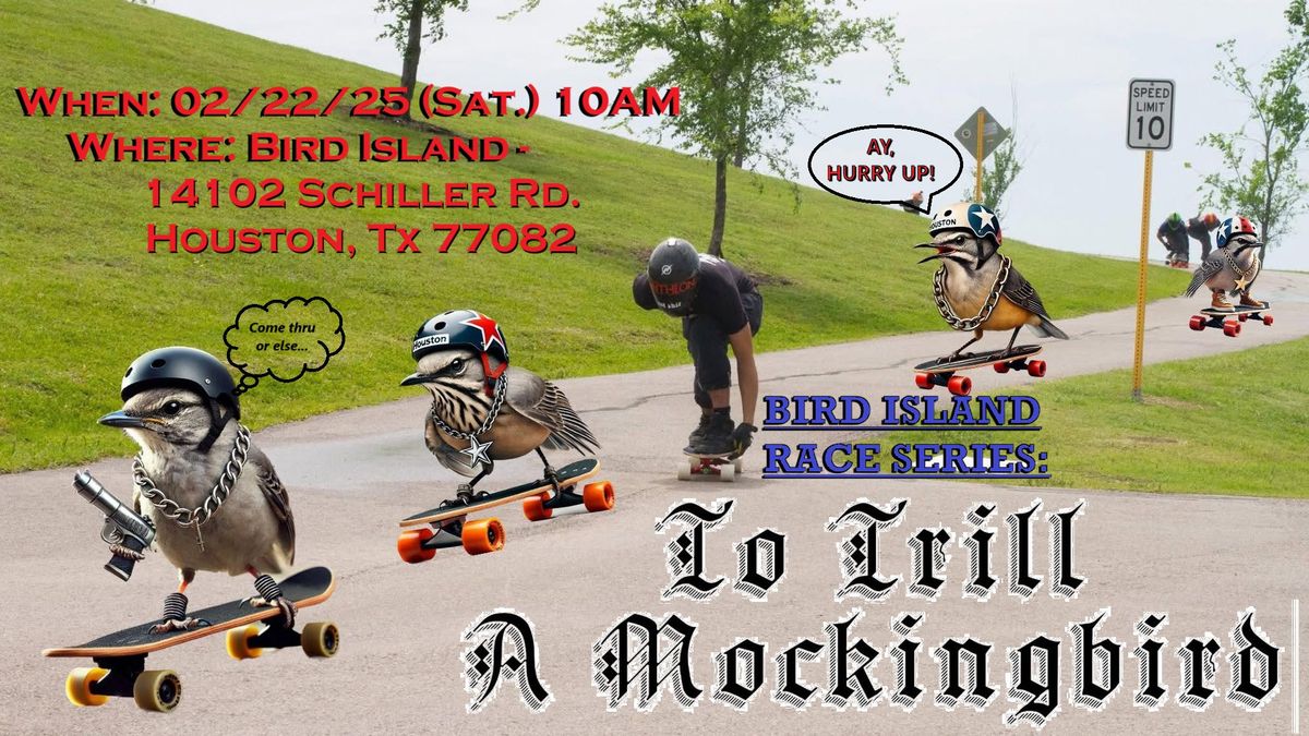 Bird Island Race: To Trill a Mockingbird